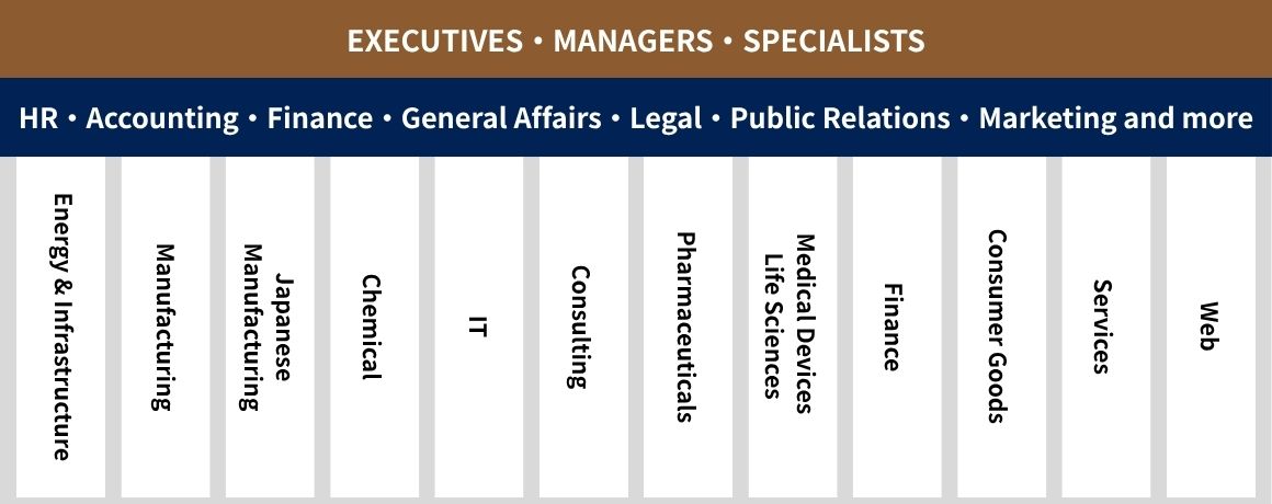 Energy & Infrastructure, Manufacturing, Japanese Manufacturing, Chemical, IT, Consulting, Pharmaceuticals, Medical Devices & Life Sciences, Financial Services, Consumer Goods, Services, Web, Corporate Functions, Executive Search